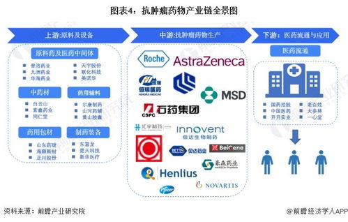 預(yù)見(jiàn)2024 2024年中國(guó)抗腫瘤藥物行業(yè)全景圖譜 附市場(chǎng)規(guī)模 競(jìng)爭(zhēng)格局和發(fā)展前景等