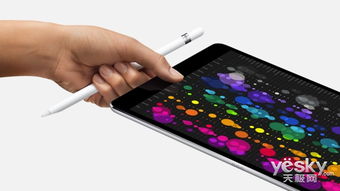 蘋(píng)果堅(jiān)持推平板有成效 安卓市場(chǎng)就慘多了