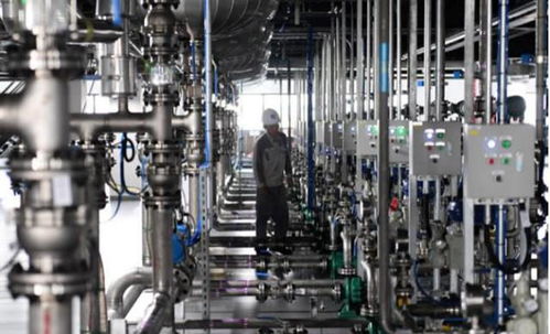 國(guó)產(chǎn)100噸 青春丸 工廠投產(chǎn)3年,年產(chǎn)能消耗大,工廠三班倒